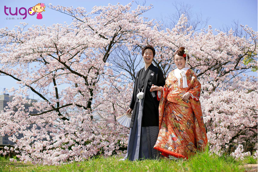 Bạn có thể ghé thăm Nhật Bản vào tháng 3 – 4 để ngắm nhìn những đóa anh đào tuyệt đẹp