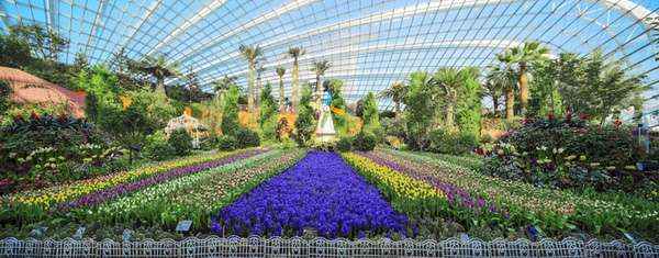 Du khách phải mất hàng giờ mới có thể chiêm ngưỡng hết vẻ đẹp những loại hoa miền ôn đới trong hai khu nhà kính Vòm hoa và Rừng mây.