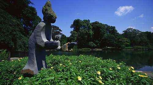 Singapore Botanic Gardens 