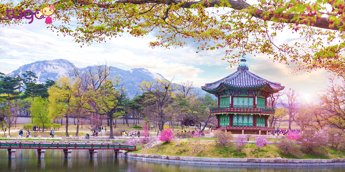 Hãy cùng Tugo điểm qua những địa điểm nổi tiếng ở Hàn Quốc