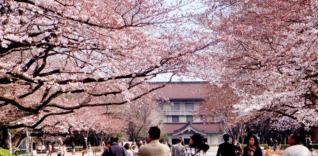 Công viên Ueno – nơi người dân Tokyo lặng người hòa cùng thiên nhiên