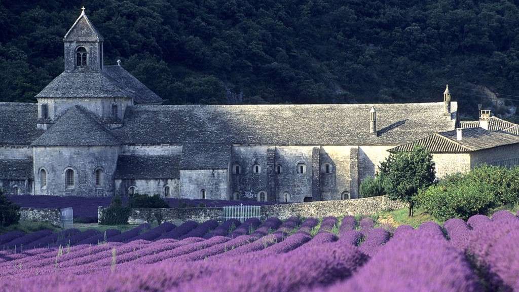 Provence với những cánh đồng hoa oải hương xinh đẹp