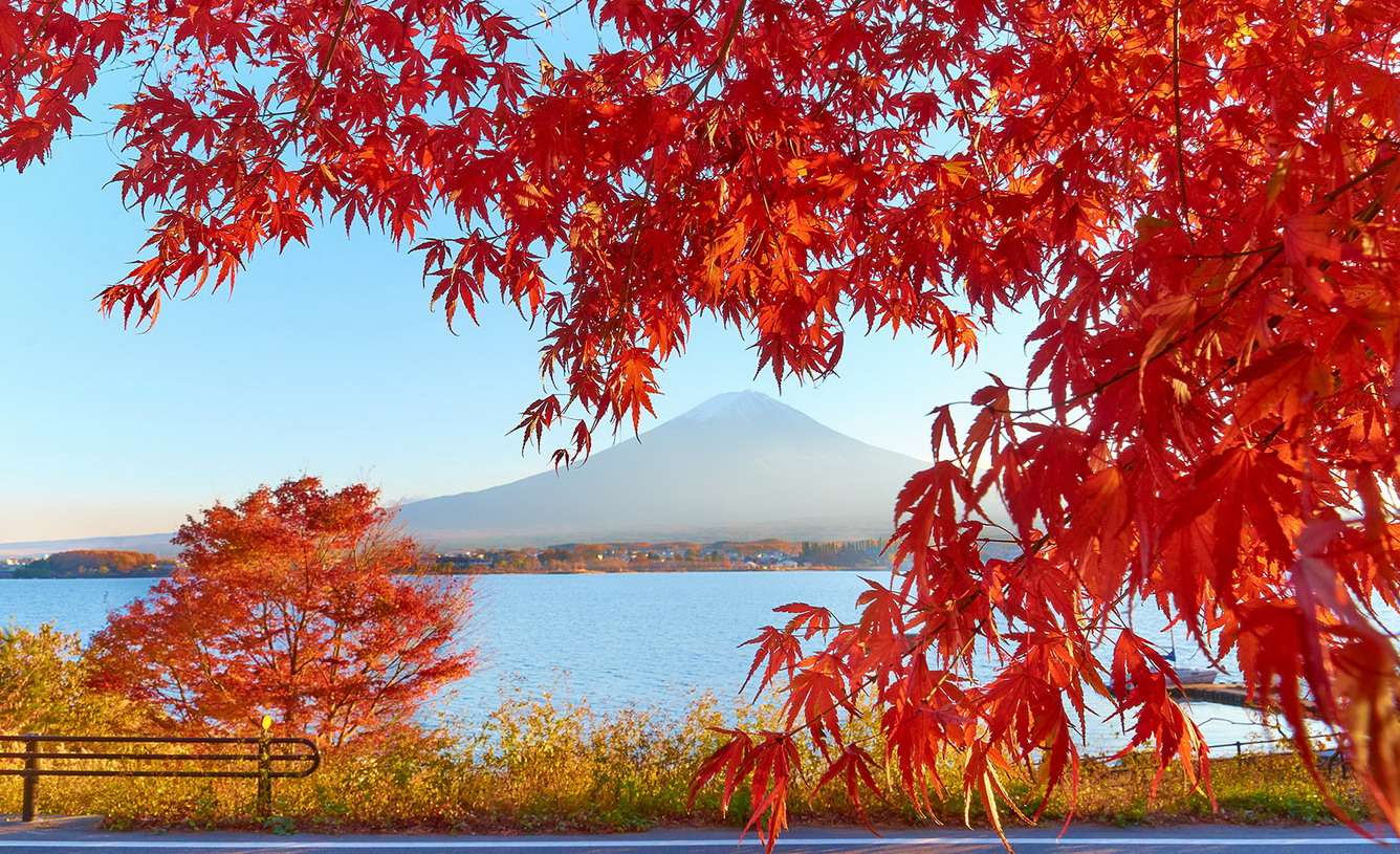 Thời tiết Nhật Bản tháng 10 hứa hẹn cho bạn chuyến du lịch hấp dẫn