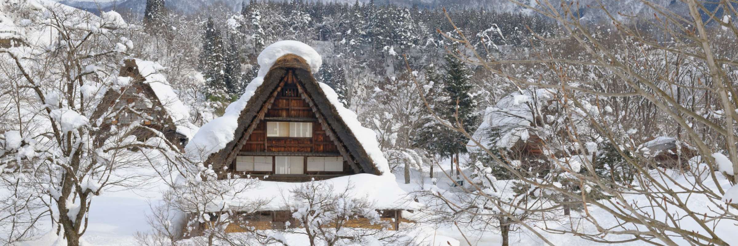 Cấu trúc nhà đặc biệt chống chọi tuyết lớn