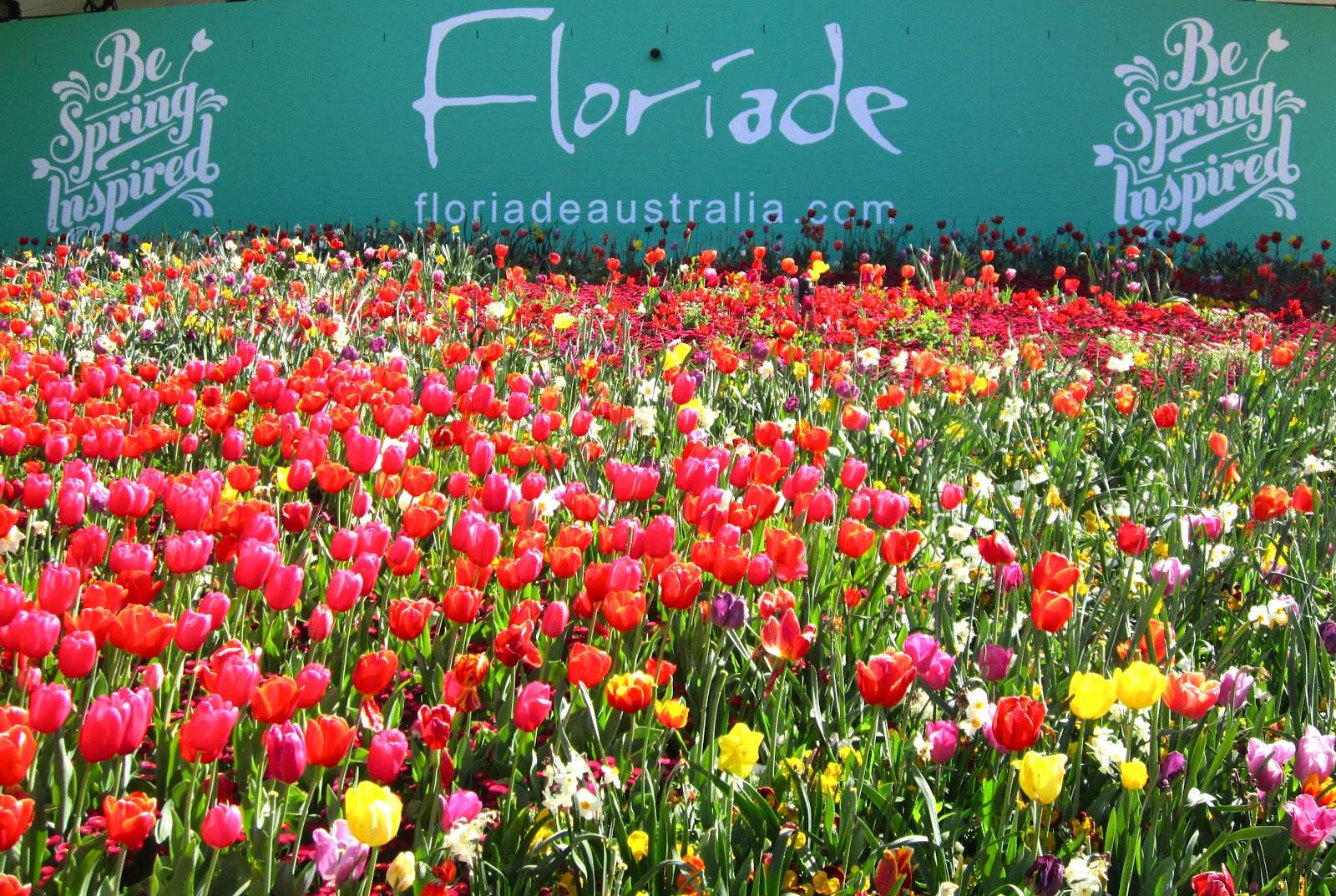 Cảnh sắc rực rỡ tại Lễ hội hoa Floriade