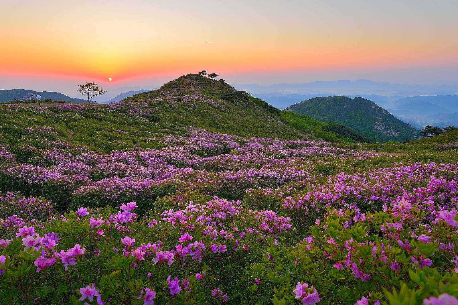 Núi Hwangmaesan