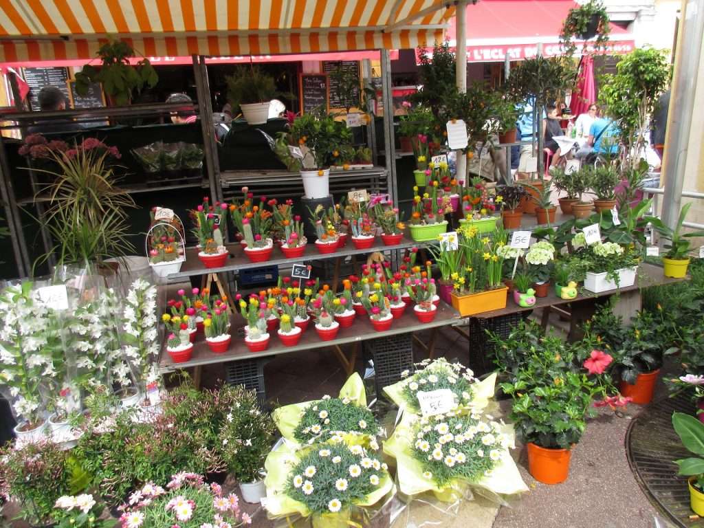  Chợ hoa buổi sáng (The Cours Saleya)