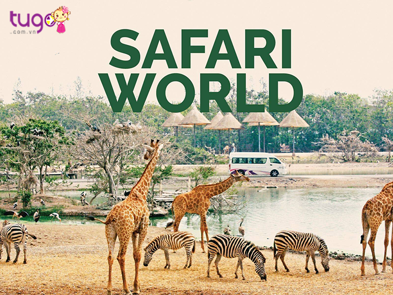 Safari World - Điểm tham quan hấp dẫn khách du lịch
