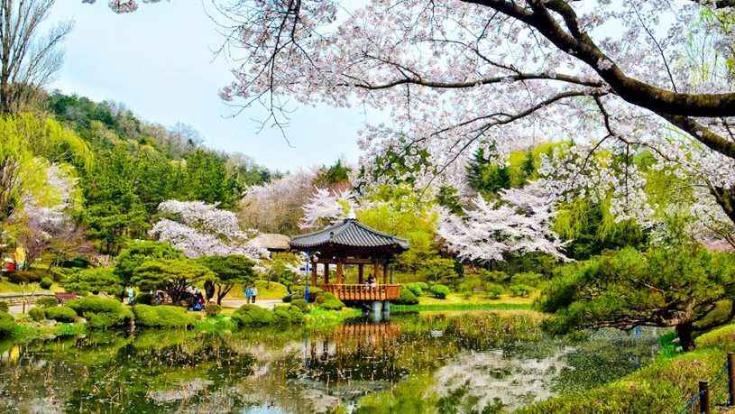 4 địa điểm du lịch nổi tiếng Hàn Quốc không thể bỏ qua
