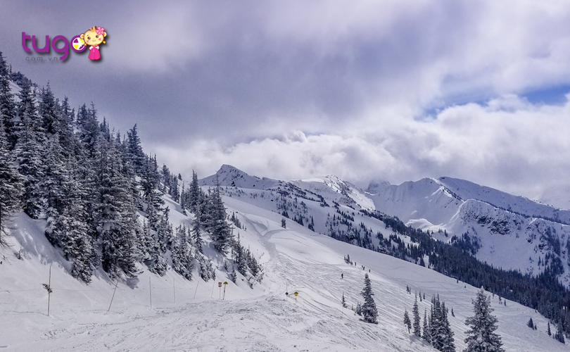 Bạn là người yêu thích trượt tuyết? Chắc chắn không thể bỏ qua điểm đến British Columbia