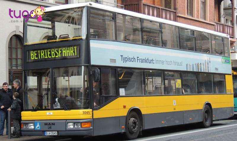Bus là phương tiện phổ biến để tham quan giữa các địa điểm du lịch