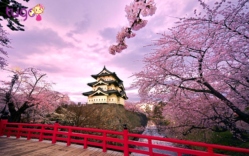 Tokyo là thành phố hiện đại và sở hữu vô số cảnh quan “sắc nước hương trời”