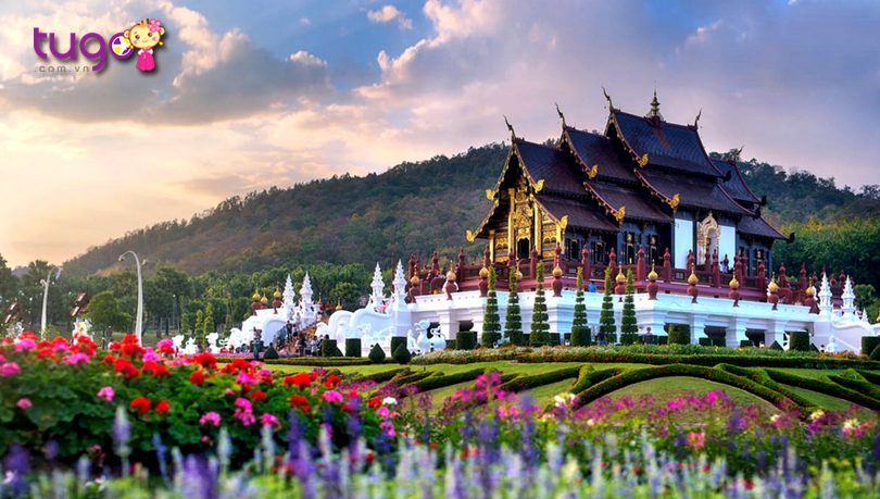 Chiang Mai là điểm đến nổi tiếng ở Thái Lan và được nhiều du khách ghé thăm trong thời gian gần đây