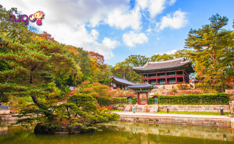 Cung điện Changdeokgung là một trong những điểm đến hấp dẫn mà du khách không nên bỏ lỡ trong chuyến du lịch Hàn Quốc tháng 11