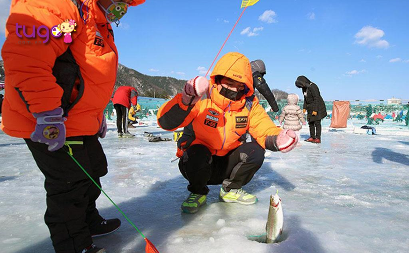 Câu cá trên sông băng - Trải nghiệm thú vị dành cho du khách khi đến với lễ hội sông băng Hwacheon Sancheoneo