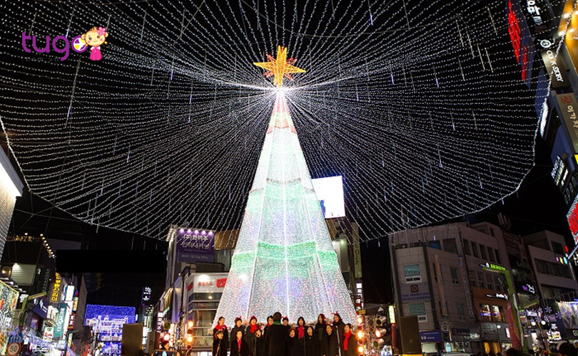 Cây thông khổng lồ được trang trí bắt mắt ở thành phố Busan vào dịp Noel