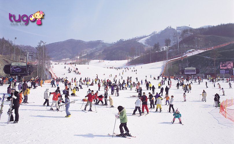Công viên Everland chính là lựa chọn hàng đầu cho các chuyến du lịch Hàn Quốc  mùa đông
