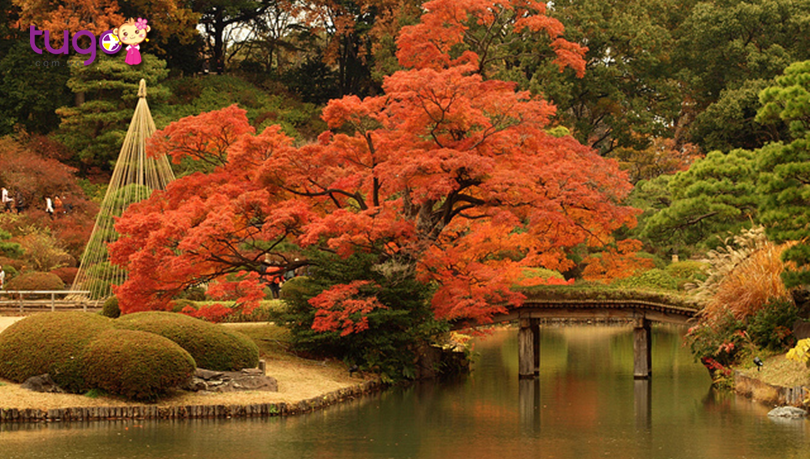 Công viên Rikugien, Tokyo chính là địa điểm ngắm mùa thu tuyệt vời mà du khách rất nên ghé thăm khi du lịch Nhật Bản tháng 10