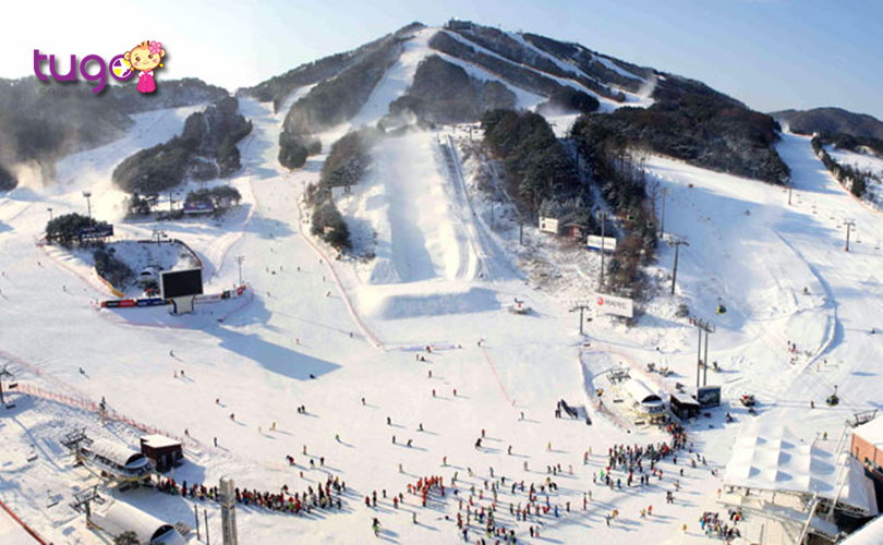 Công viên tuyết Welli Hilli thu hút đông đảo người tham gia mỗi năm