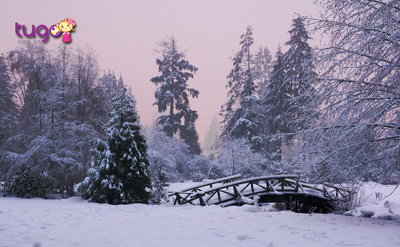 Cả công viên Stanley phủ đầy tuyết trắng trong mùa đông