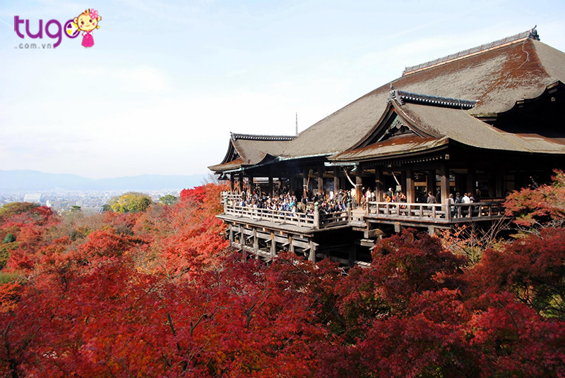 Địa điểm lý tưởng để ngắm bạt ngàn hoa và toàn cảnh Kyoto