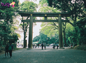 Một góc công viên Yoyogi