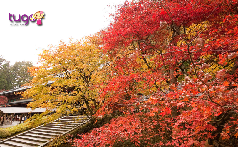 Những địa điểm đẹp nao lòng du khách tại Nikko, Nhật Bản 