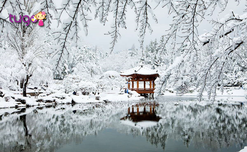 Khung cảnh tuyết trắng đầy ấn tượng ở Hàn Quốc vào mùa đông