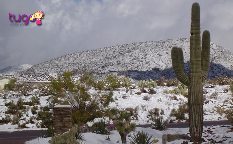 Khung cảnh mùa đông ấn tượng tại Scottsdale, Arizona
