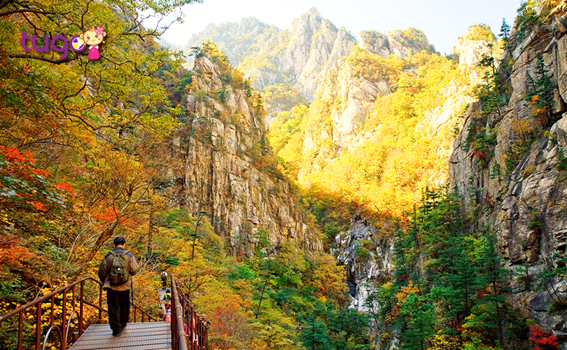 Khung cảnh thiên nhiên tuyệt đẹp tại vườn quốc gia Seoraksan