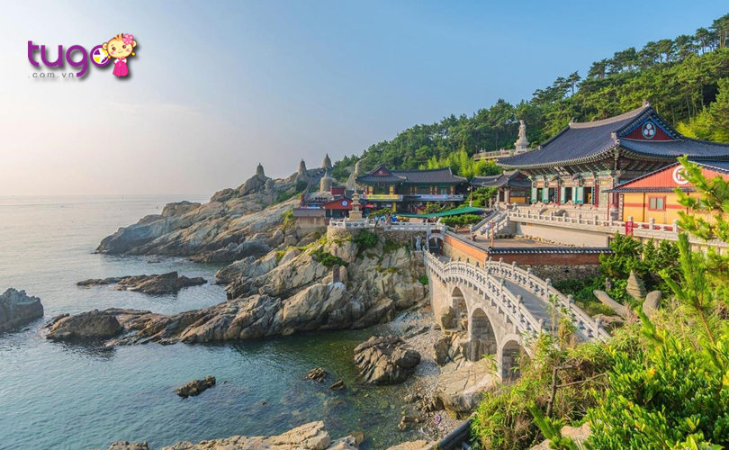 Không chỉ có một nét đẹp hiện đại, Busan còn rất thơ mộng với nhiều khung cảnh thiên nhiên tươi đẹp