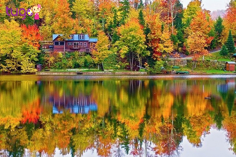 Hình ảnh đất nước Canada xinh đẹp với đặc trưng lá phong quen thuộc