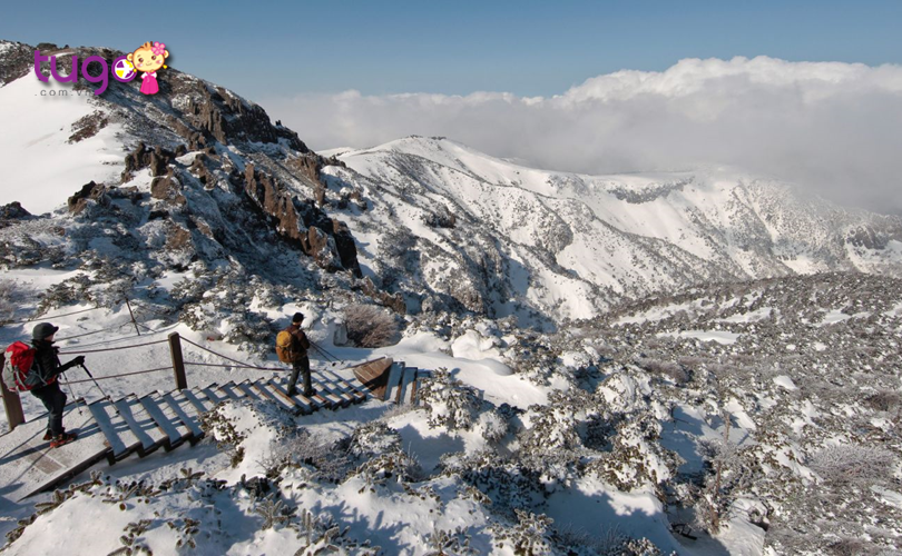 Leo núi tuyết là một hoạt động thú vị dành cho các du khách khi ghé thăm Hàn Quốc vào mùa đông