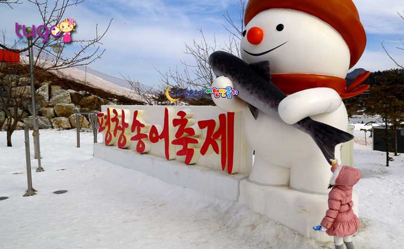 Lễ hội cá hồi Pyeongchang là một trong những sự kiện mùa đông hấp dẫn nhất tại Hàn Quốc mà du khách không nên bỏ lỡ