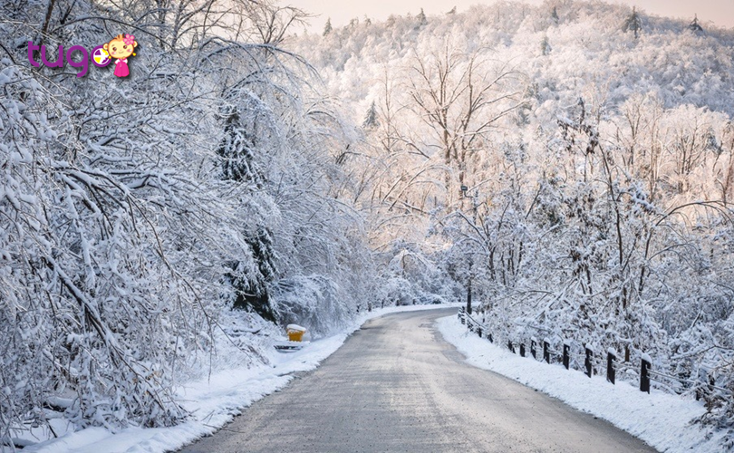 Một màu tuyết trắng xóa bao phủ khắp mọi nơi ở Canada mùa đông