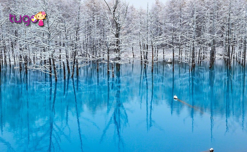 Màu nước xanh độc đáo ở hồ Biei, Hokkaido