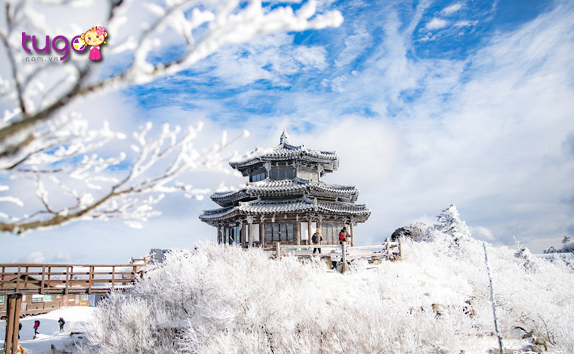 Màu trắng xóa của tuyết bao phủ khắp nơi vào mùa đông ở Hàn Quốc