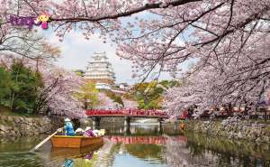 Mùa xuân là khoảng thời gian lý tưởng để du lịch Nhật Bản