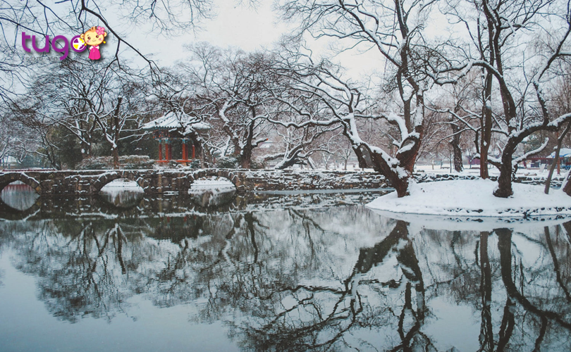 Mùa đông Hàn Quốc luôn hấp dẫn du khách bởi nhiều phong cảnh thiên nhiên tuyệt đẹp