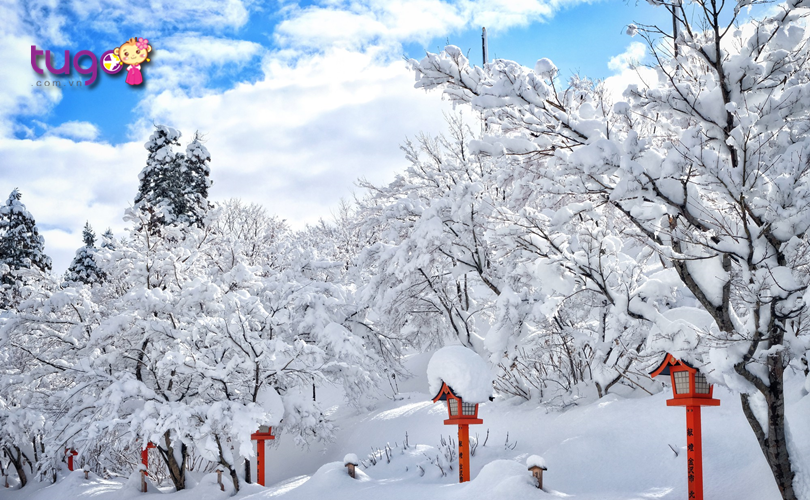 Một màu trắng xóa của tuyết bao phủ khắp nơi ở Nhật Bản vào mùa đông