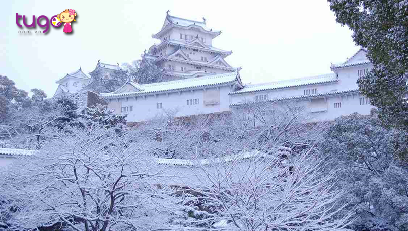 Một màu tuyết trắng xóa bao phủ lâu đài Himeji khi mùa đông về
