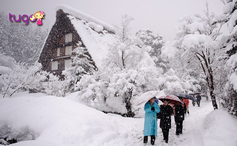 Nên mang theo cả ô để dễ dàng di chuyển hơn trong những ngày tuyết rơi nhiều ở Nhật Bản