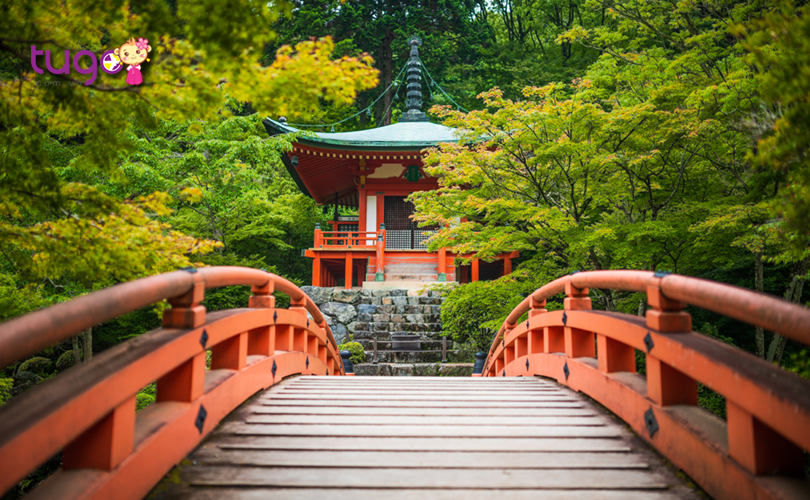 Ngôi chùa Daigo-Ji nổi bật giữa khung cảnh thiên nhiên tuyệt đẹp