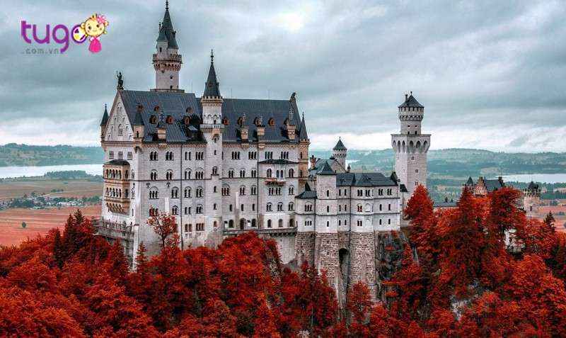 Tòa lâu đài Neuschwanstein bao quanh bởi những cây phong nhuộm đầy lá đỏ rực rỡ