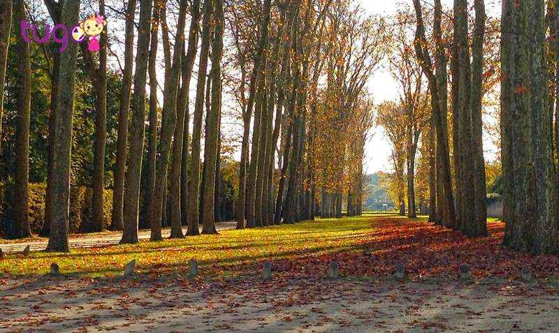 Khu vườn tại Versailles phủ đầy lá phong vàng đẹp mê người