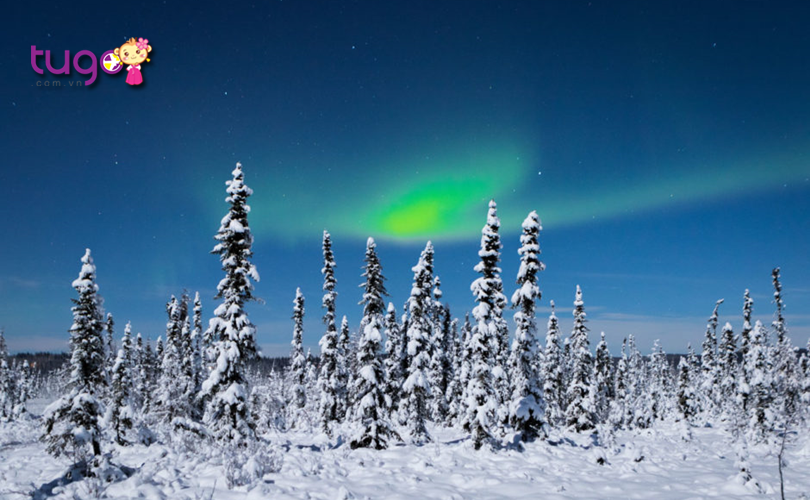Những dải cực quang đẹp mê đắm ở Fairbanks, Alaska