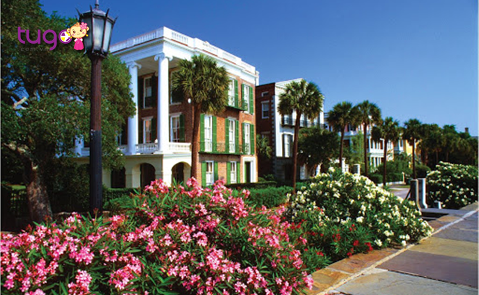 Những cánh hoa rực rỡ khoe sắc ở thành phố Charleston