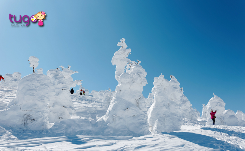Những “quái vật tuyết” khổng lồ tại cánh rừng tuyết Juhyo