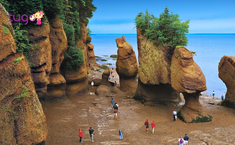 Những vách đá Hopewell ở vịnh Fundy - Một trong những “tuyệt tác” của tự nhiên mà du khách không nên bỏ lỡ