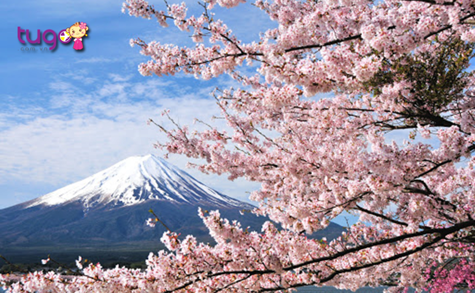 Núi Phú Sĩ sở hữu nhiều khung cảnh thiên nhiên ấn tượng vào mùa xuân